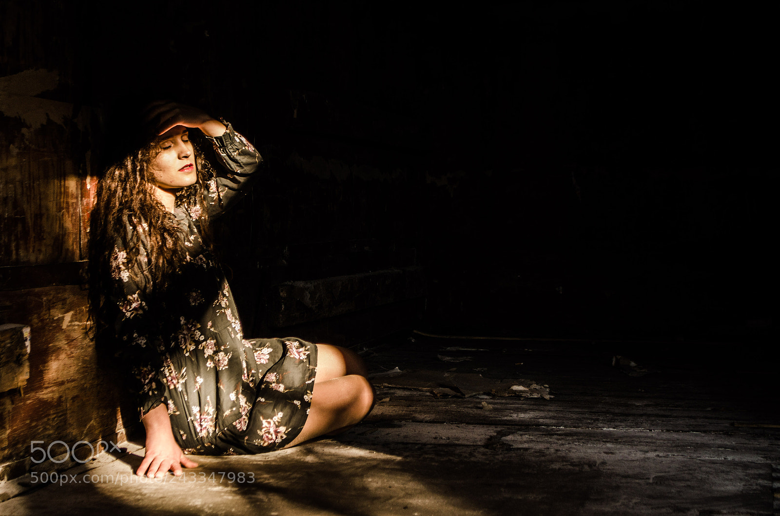 Nikon D5100 sample photo. In light photography
