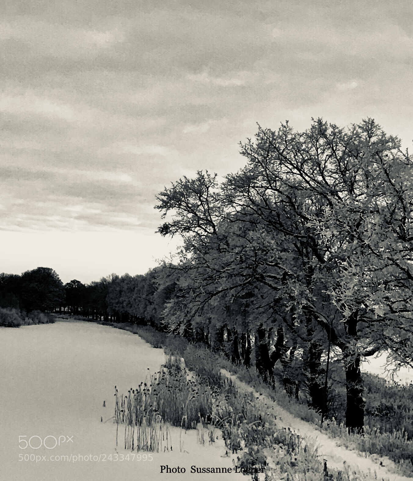 Apple iPhone 7 sample photo. Frozen river.,, photography