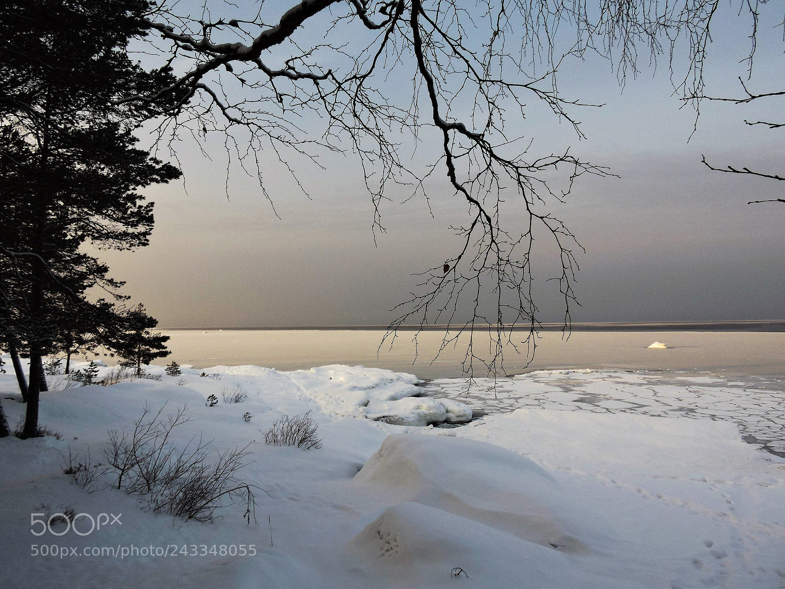 Nikon Coolpix P600 sample photo. Winter landscape by the photography