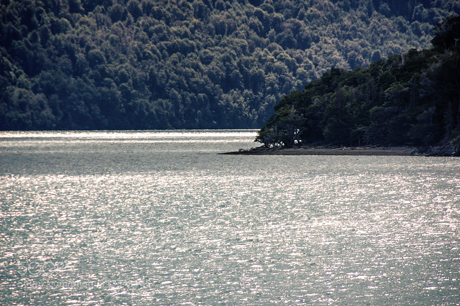 Nikon D50 sample photo. Parque nacional los alerces photography