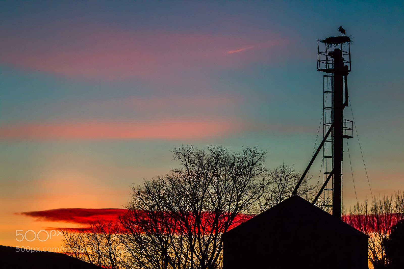 Canon EOS 70D sample photo. Fire in the farm photography