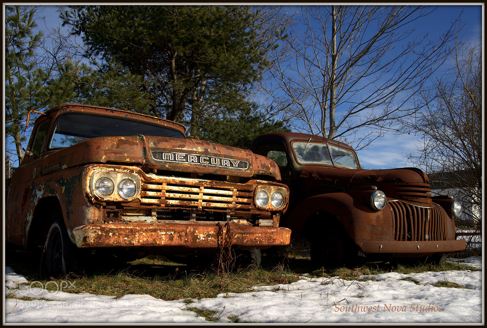 Canon EOS-1Ds Mark II sample photo. Old friends photography