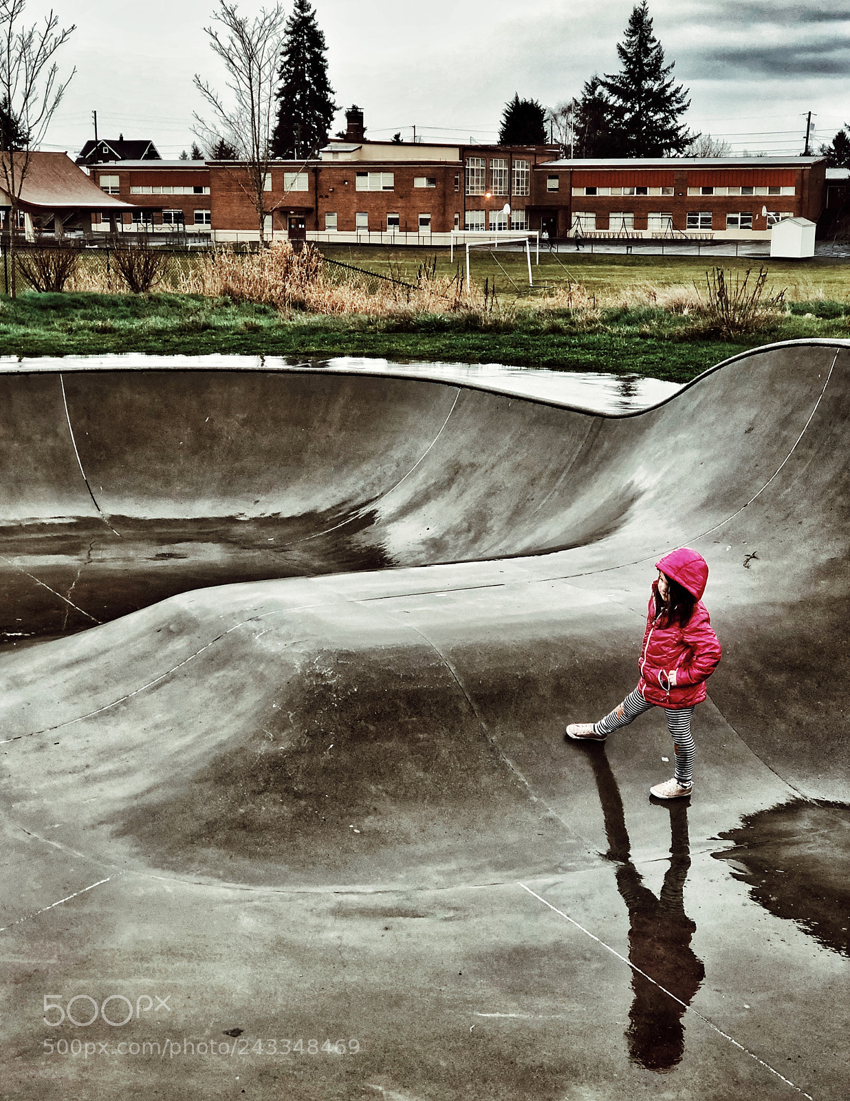 Apple iPhone 8 Plus sample photo. Scouting the skate park photography