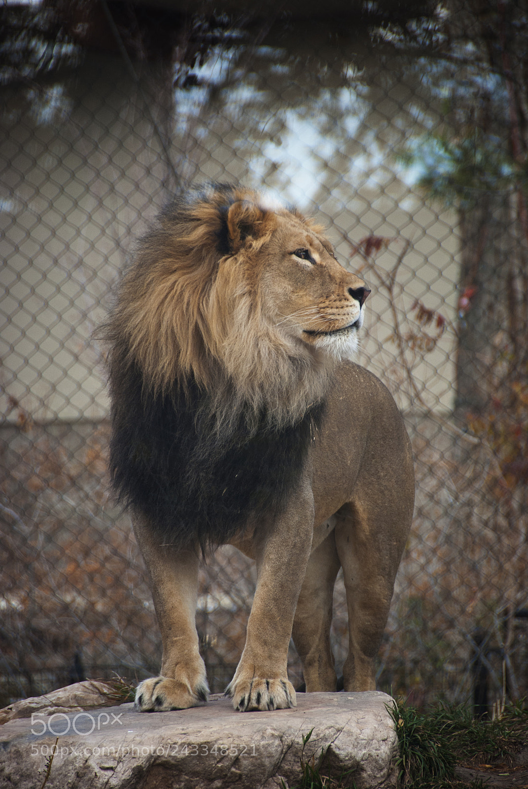 Nikon D80 sample photo. Majestic photography