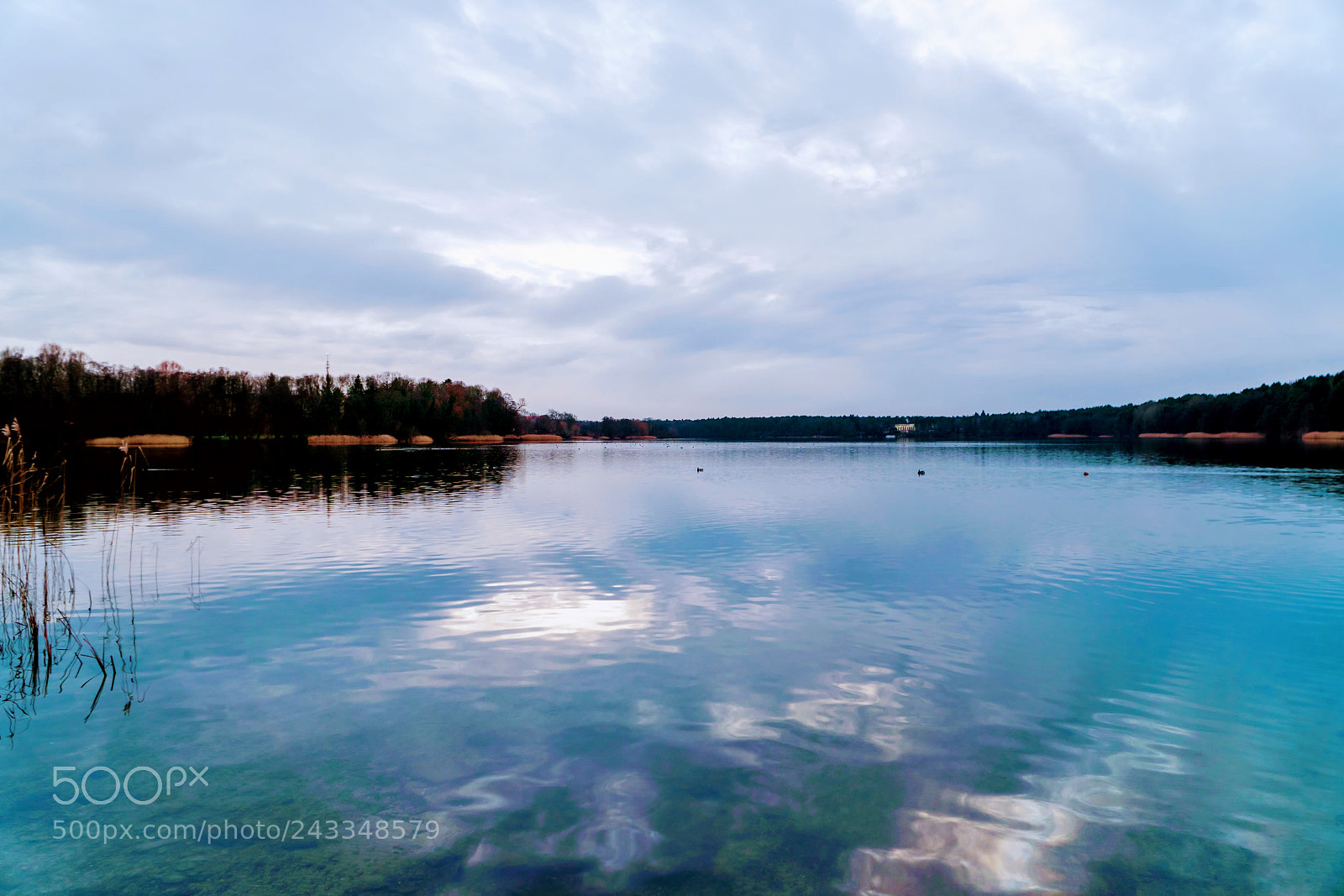 Sony a6500 sample photo. Strausberger see photography