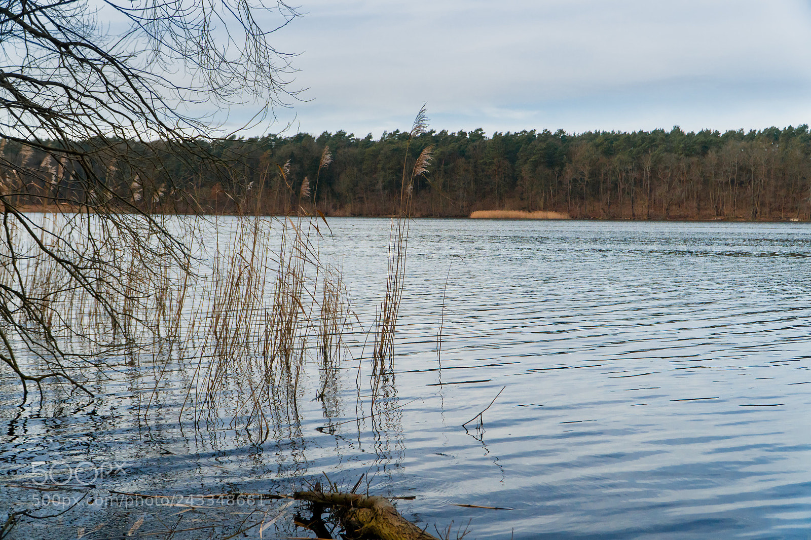 Sony a6500 sample photo. Strausberger see photography