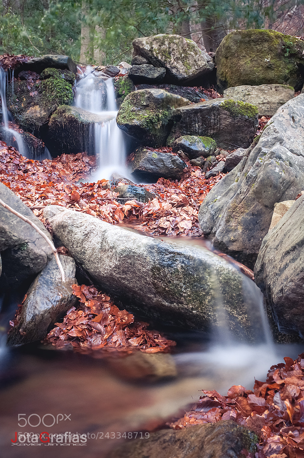Nikon D90 sample photo. Montseny photography