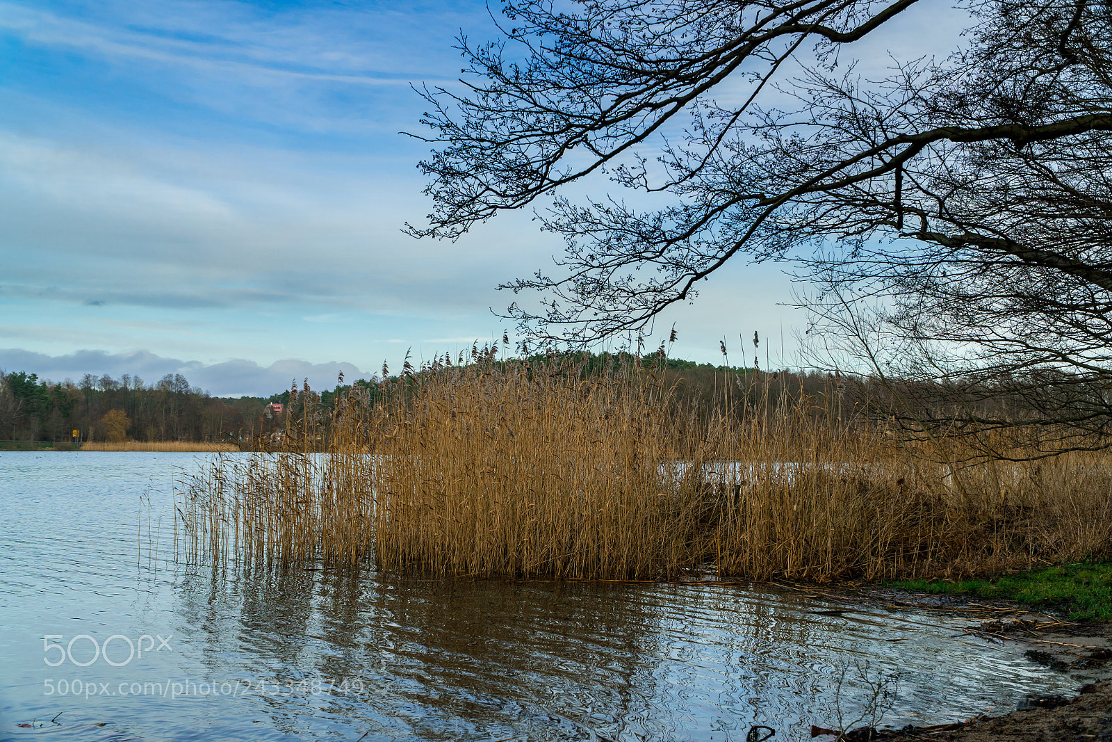 Sony a6500 sample photo. Strausberger see photography