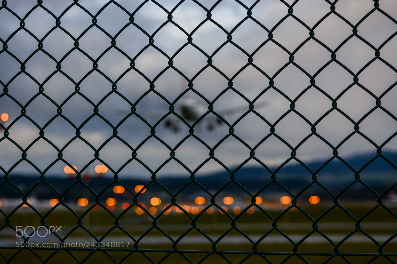 Nikon D7100 sample photo. Untitled photography