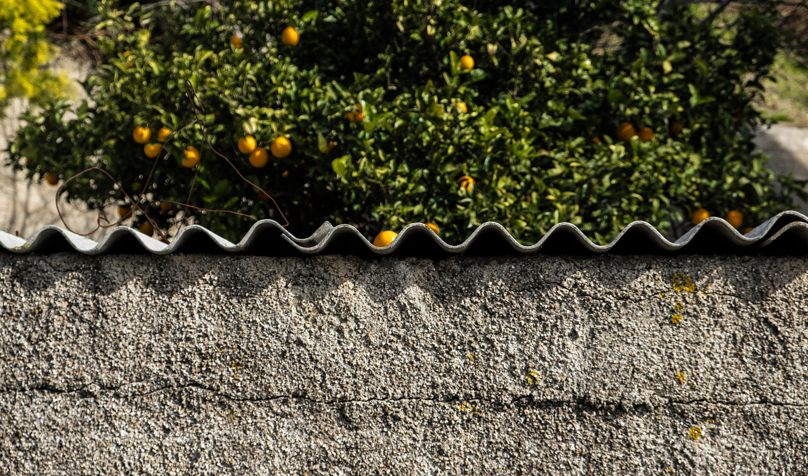 Fujifilm X-T20 sample photo. Untitled photography