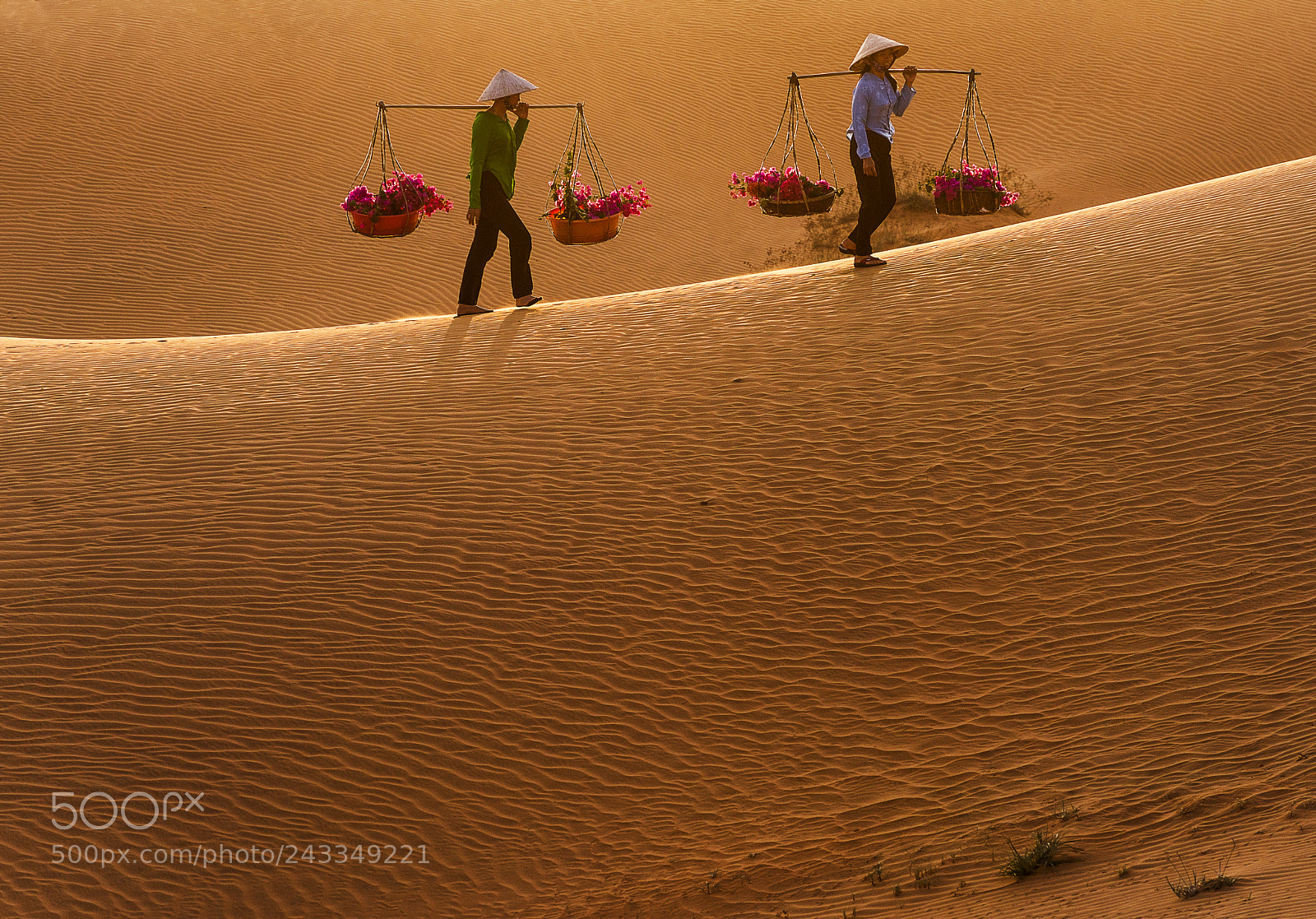 Nikon D810 sample photo. Woman carrying flower basket photography