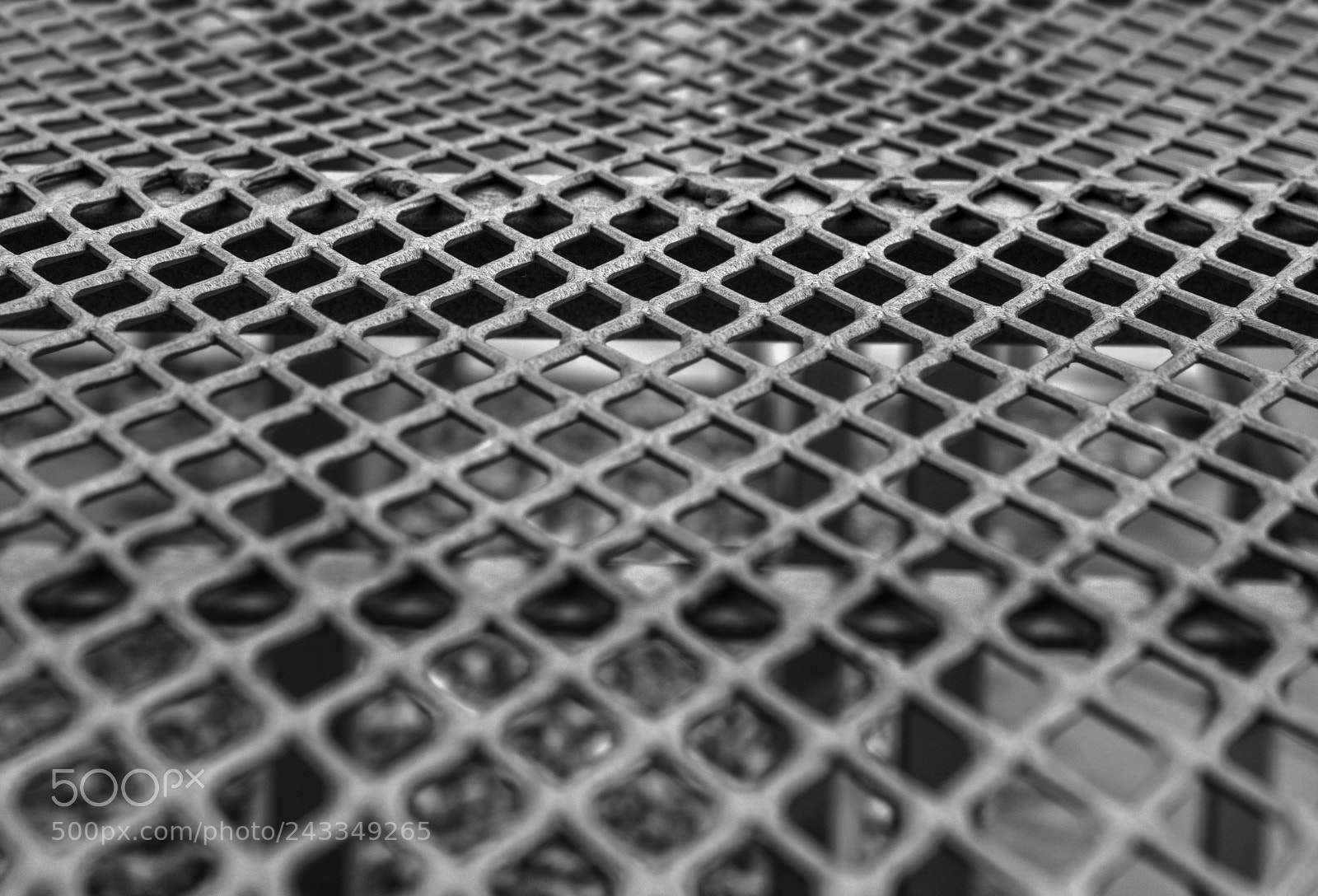 Nikon D610 sample photo. The picnic table photography