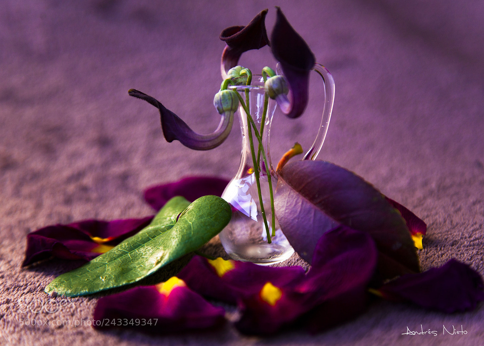 Canon EOS 5D sample photo. BodegÓn floral photography