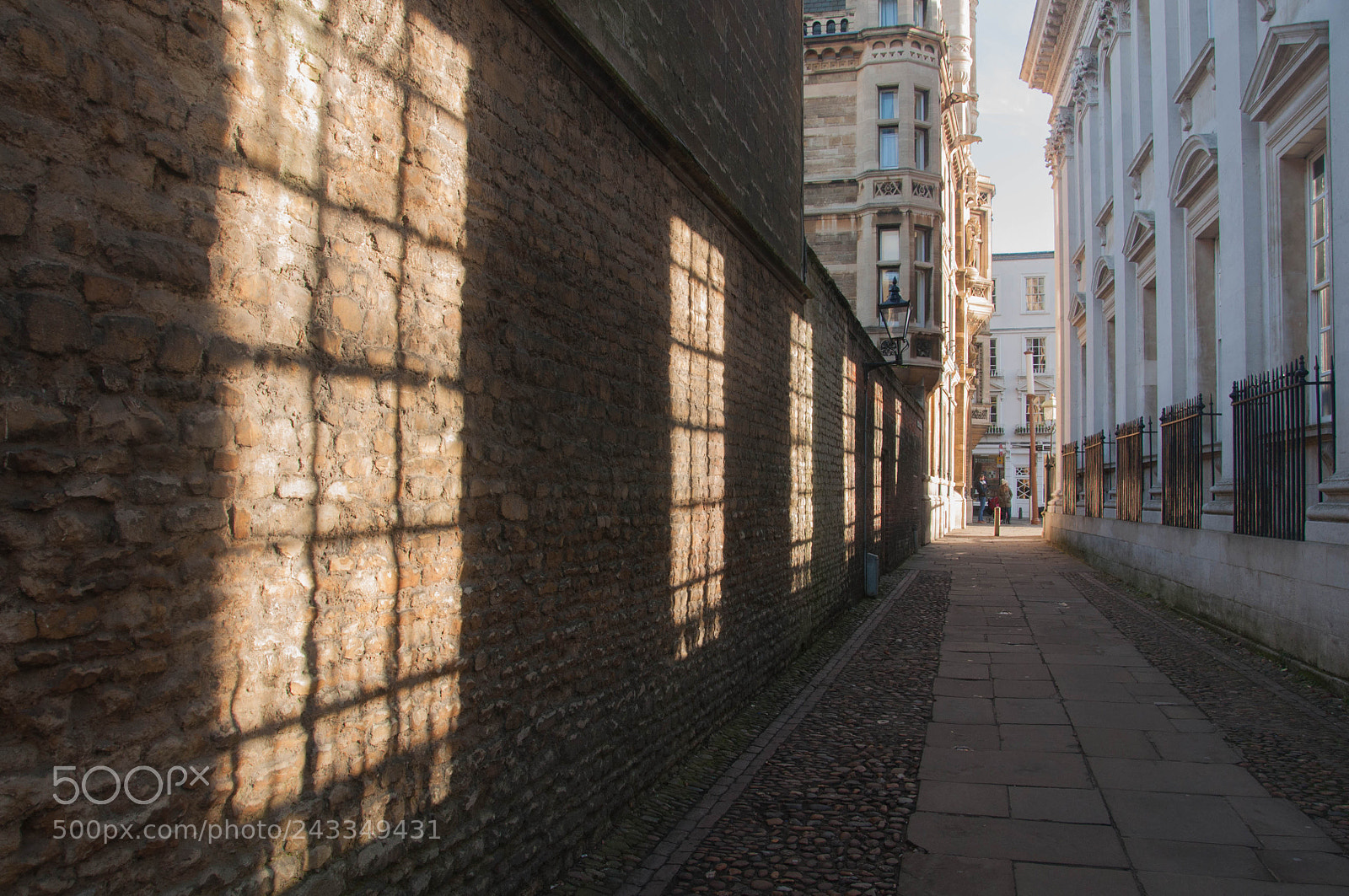 Nikon D90 sample photo. Senate passage sunlight photography