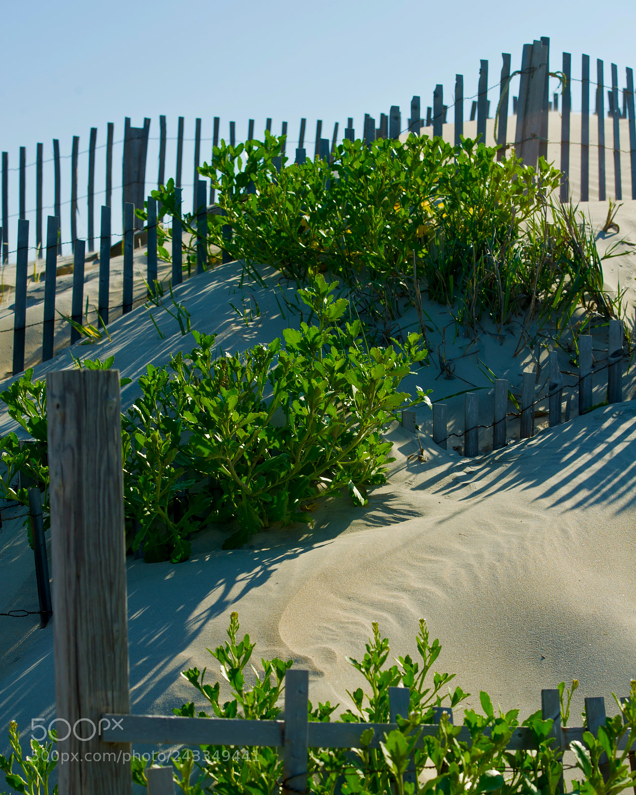 Nikon D3S sample photo. A nc beach dune photography