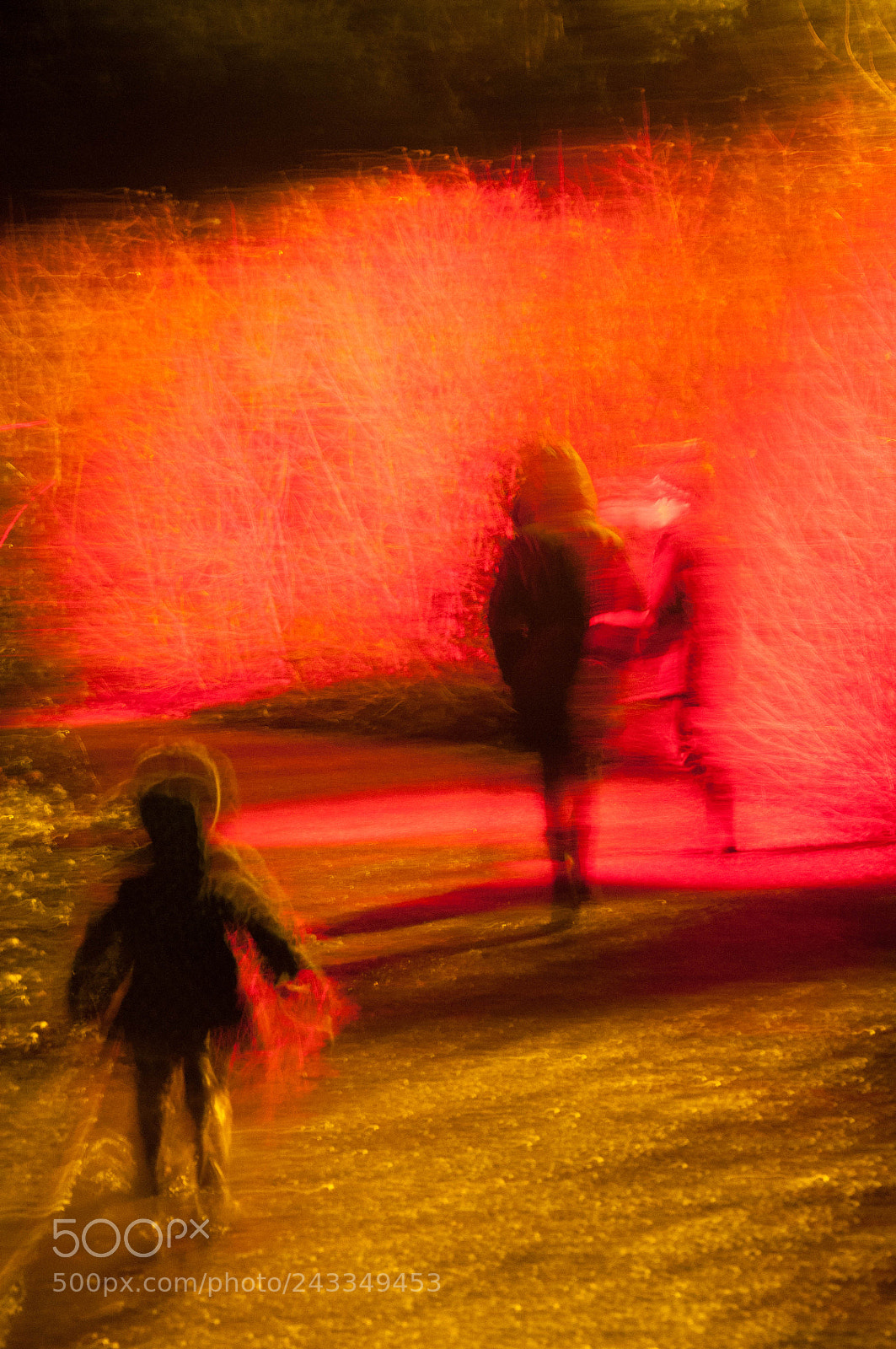 Nikon D90 sample photo. Anglesey abbey winter lights photography