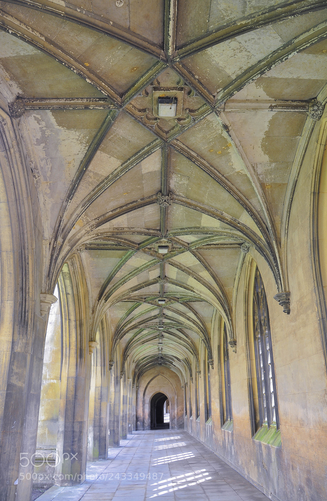 Nikon D90 sample photo. St john's college ceiling photography