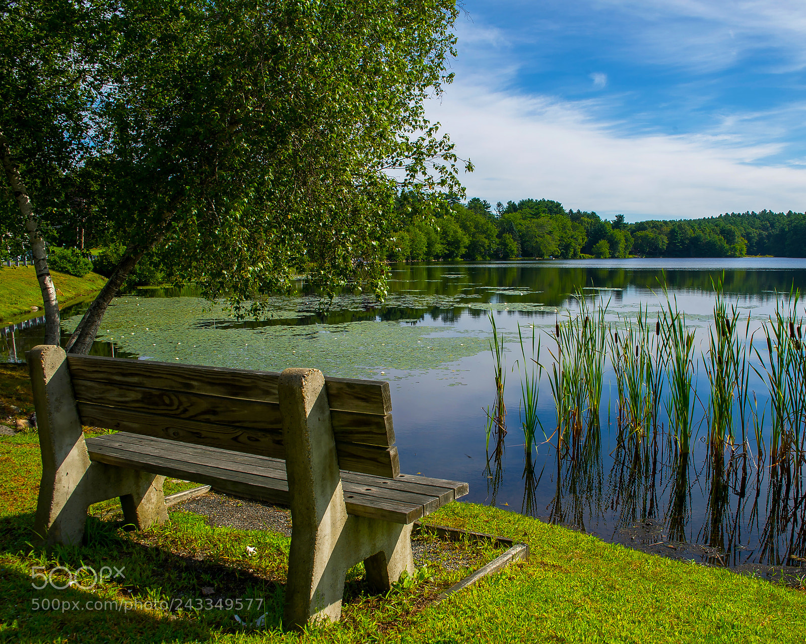 Nikon D3S sample photo. A pond bench photography