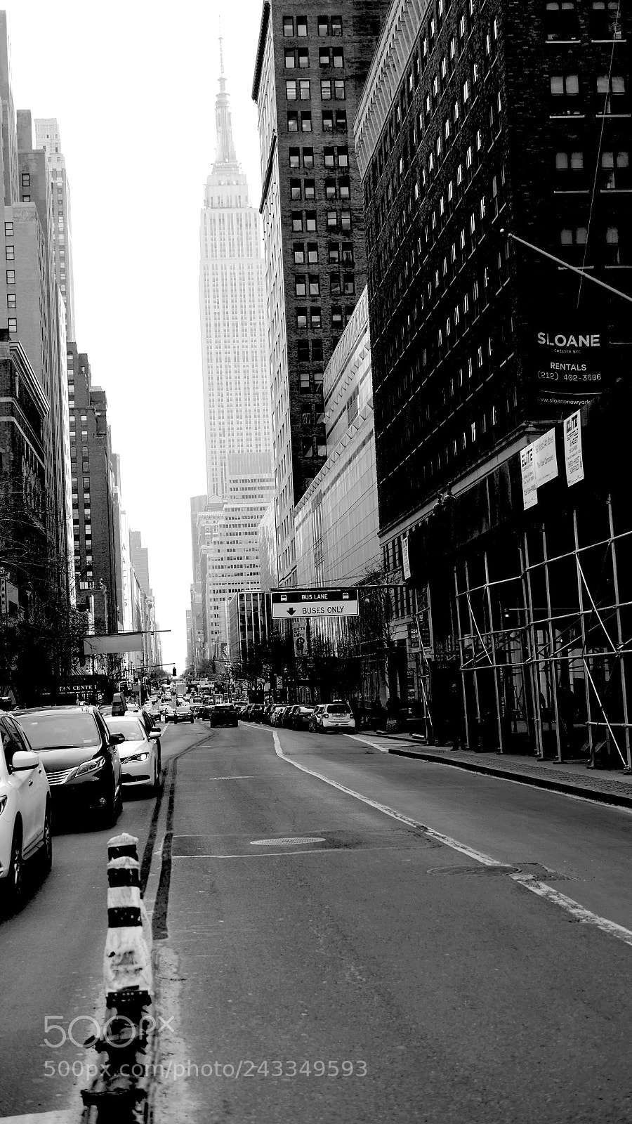 Panasonic Lumix DMC-GH3 sample photo. Esb photography