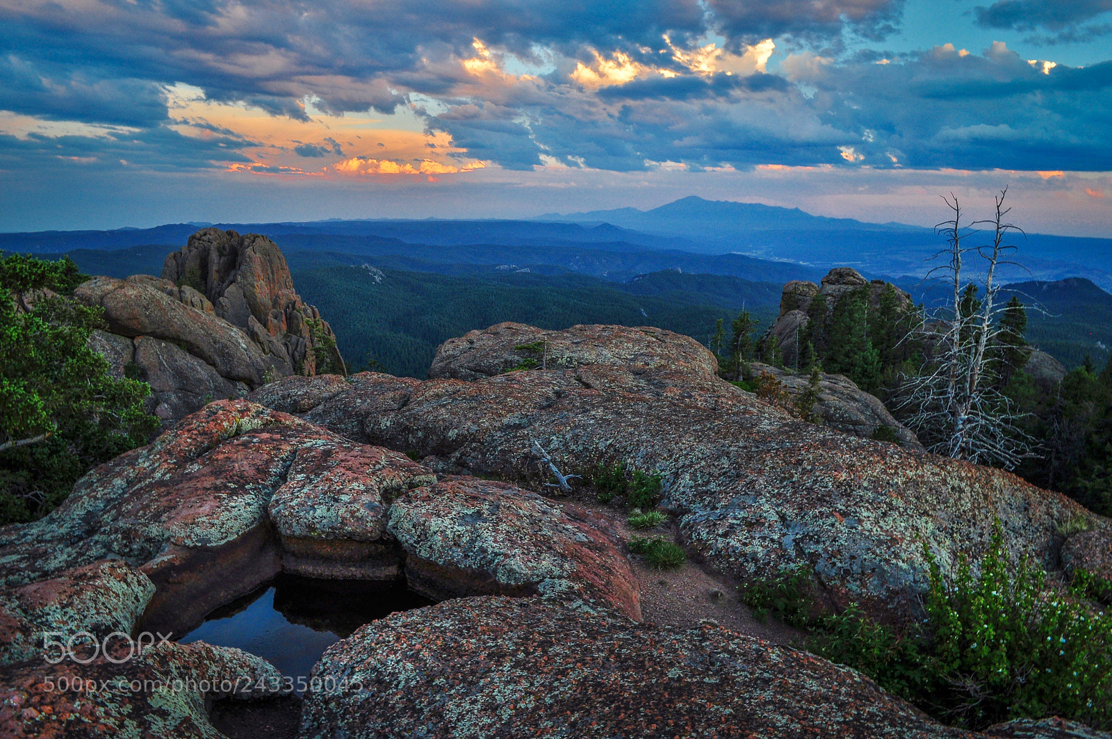 Nikon D5000 sample photo. Rock perch presence photography