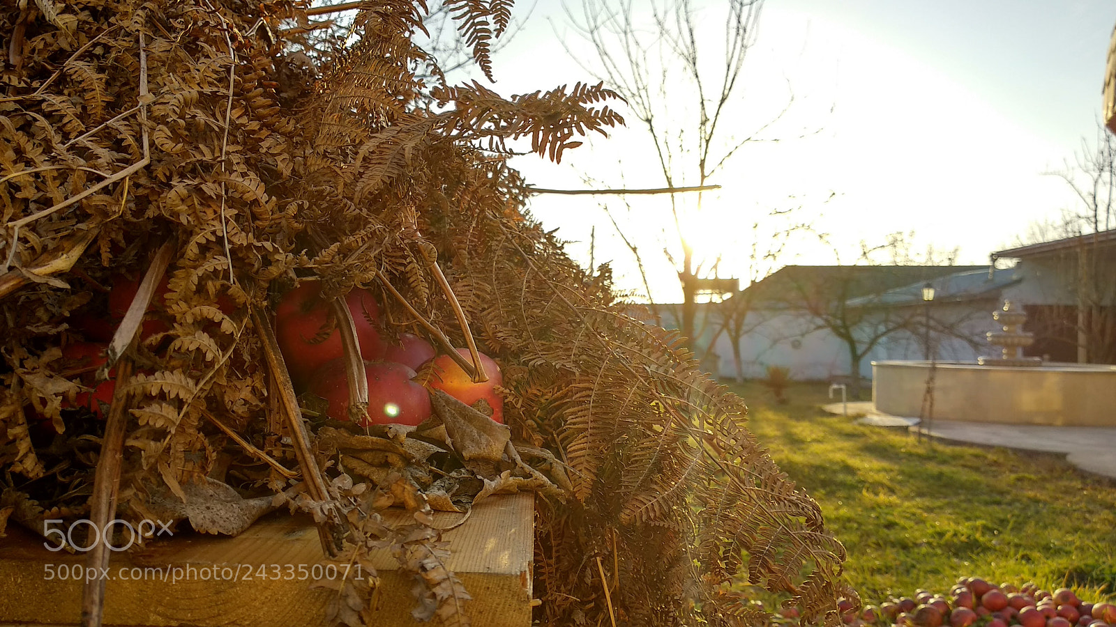 Xiaomi Mi A1 sample photo. Untitled photography