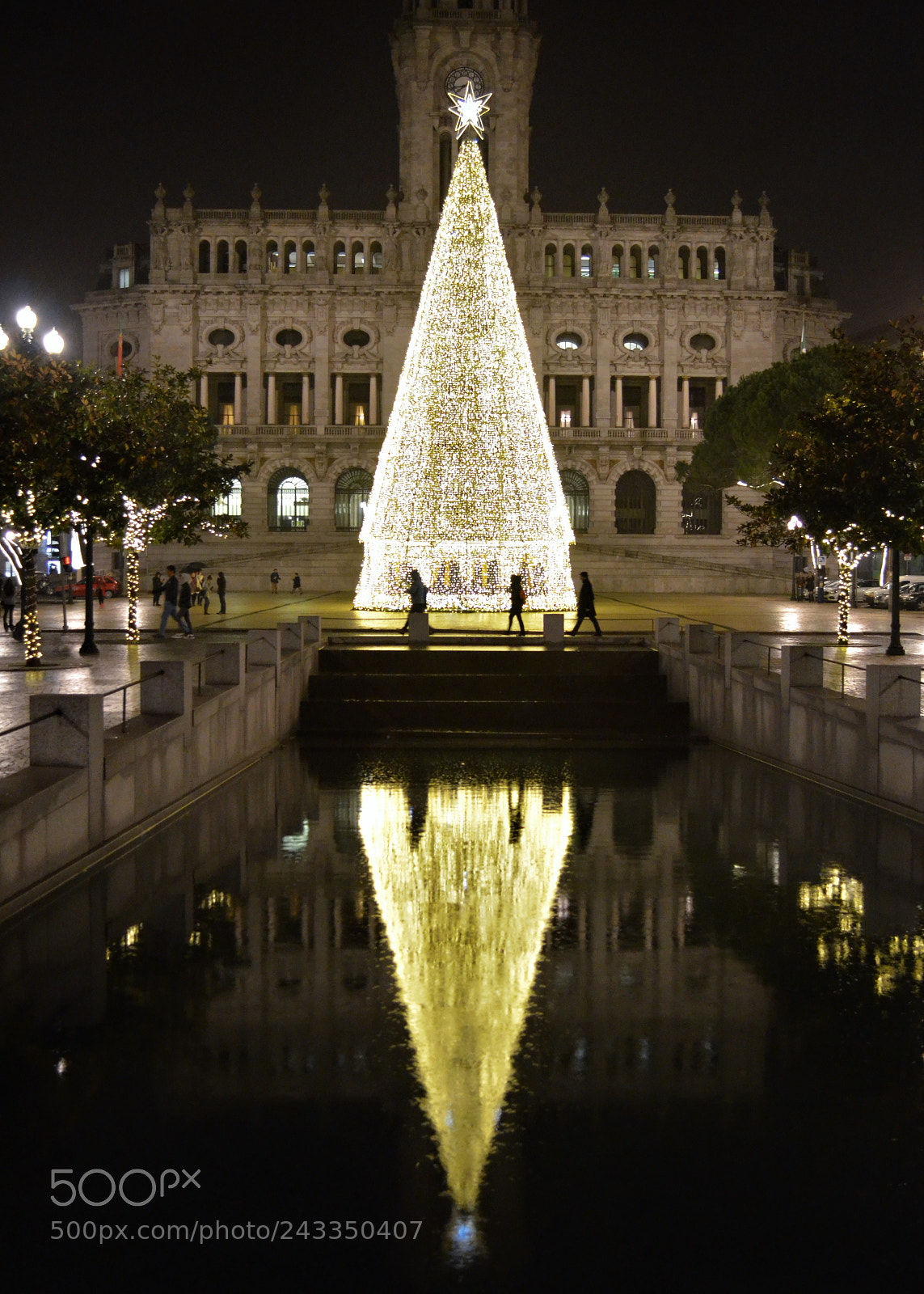 Nikon D5100 sample photo. Reflection photography