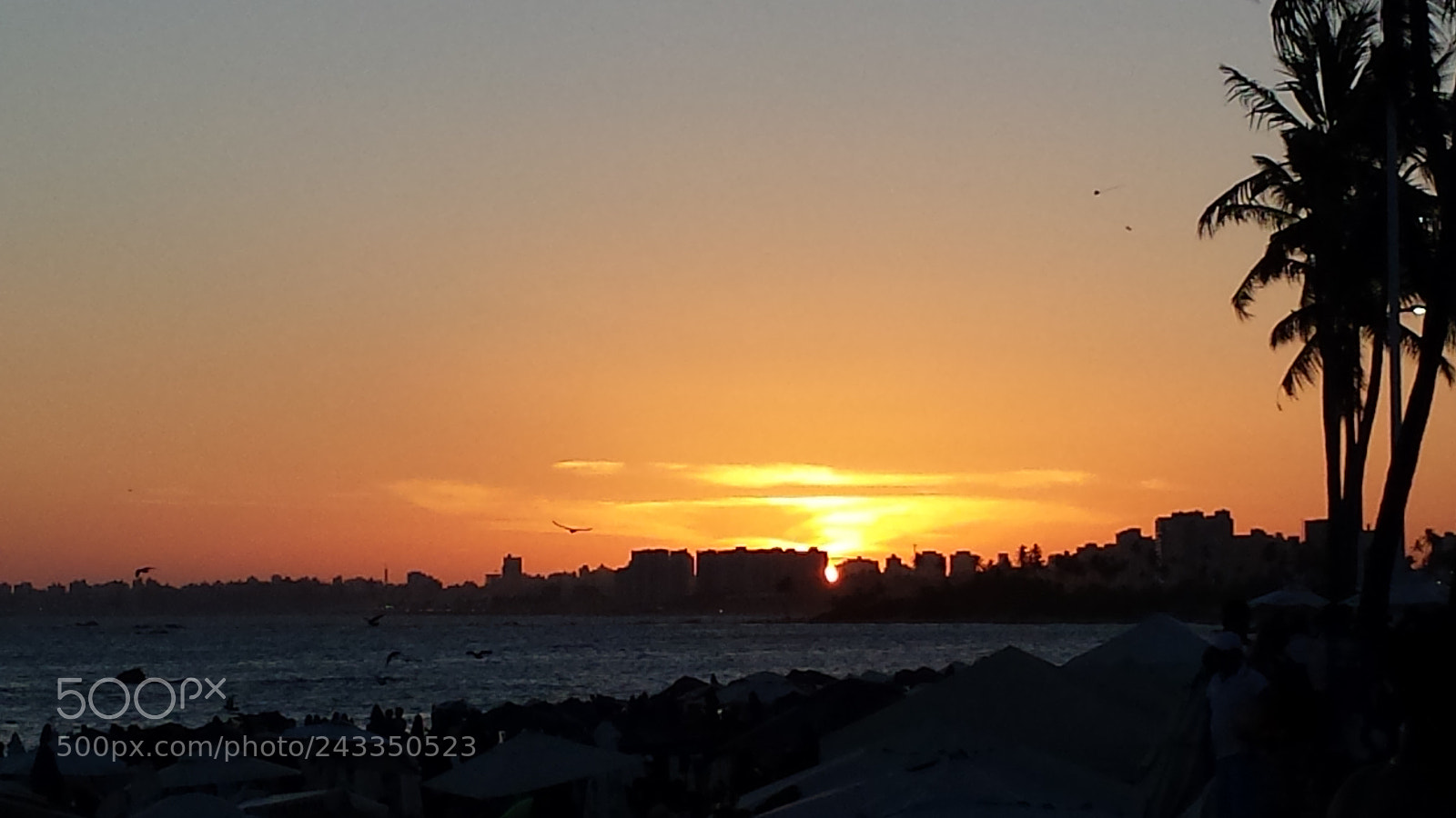Samsung Galaxy S4 sample photo. Fim de tarde em photography