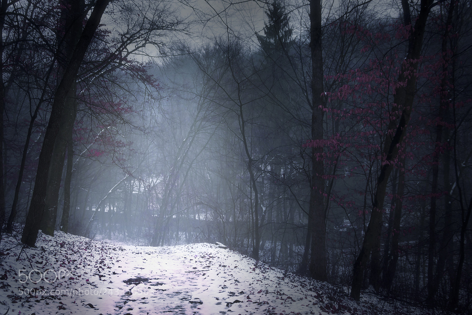 Nikon D7200 sample photo. Lewis's path photography