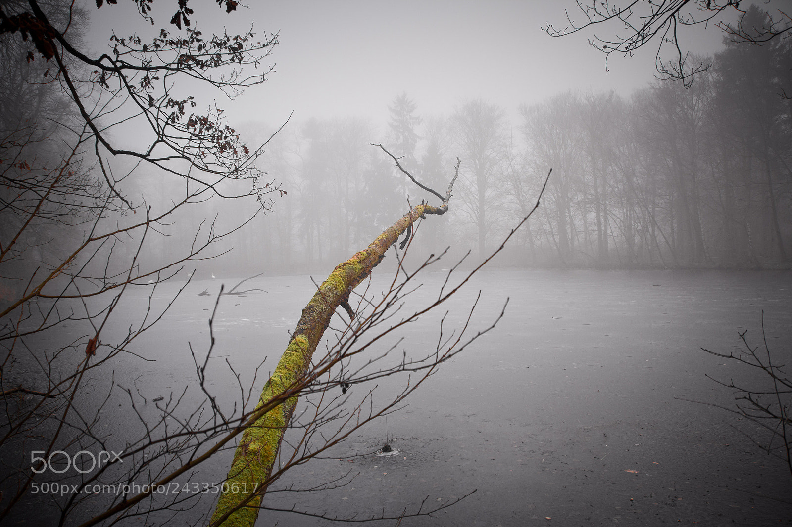 Canon EOS 60D sample photo. Moody morning photography