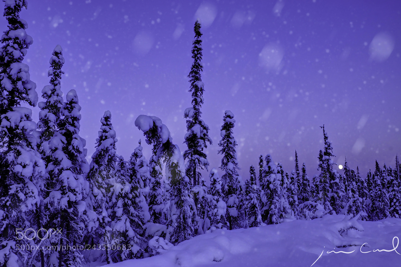 Sony SLT-A77 sample photo. Alaska winter wonderland photography