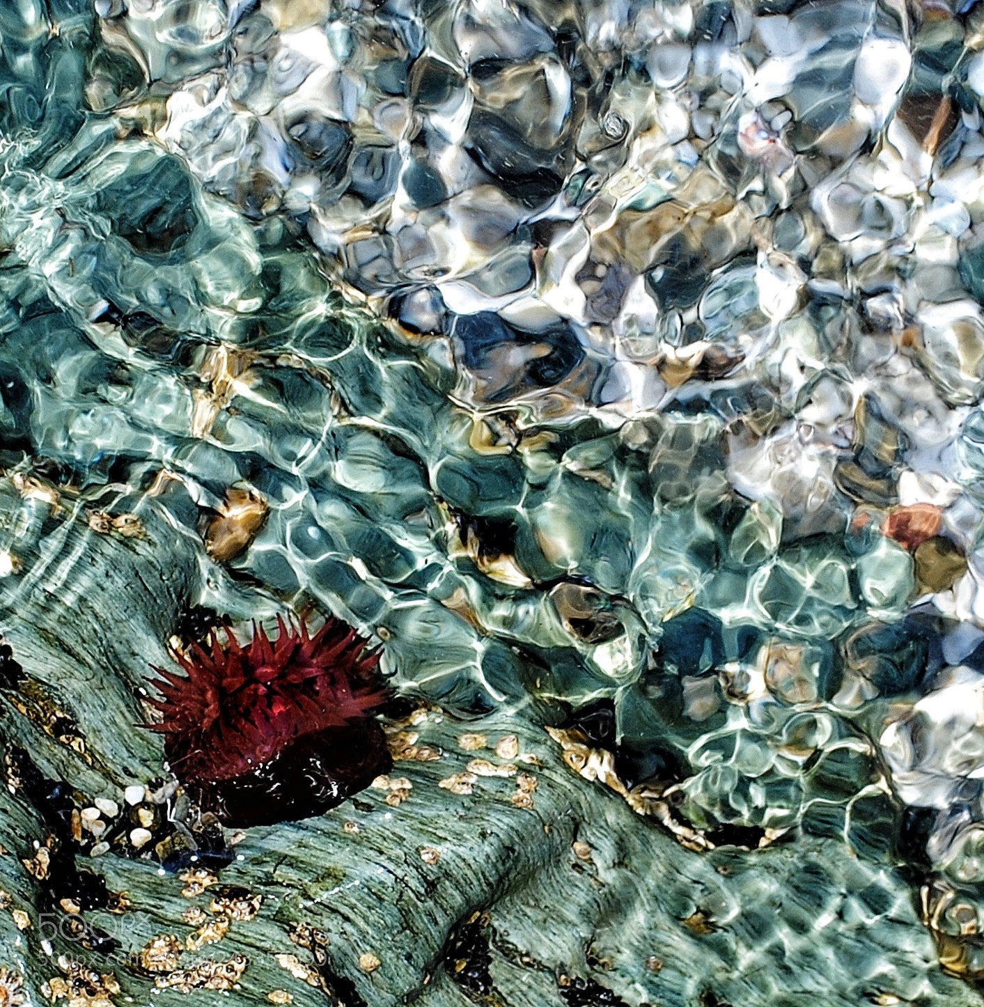 Nikon D3000 sample photo. Untitled photography