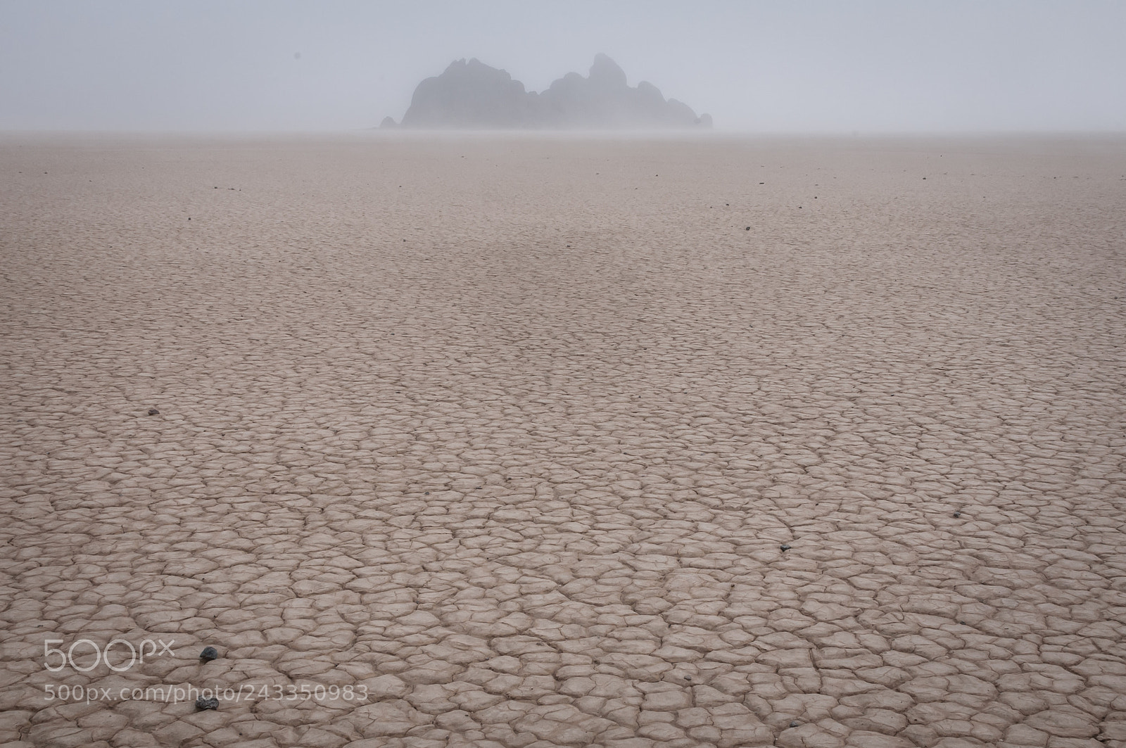 Nikon D300 sample photo. The grandstand fog racetrack photography