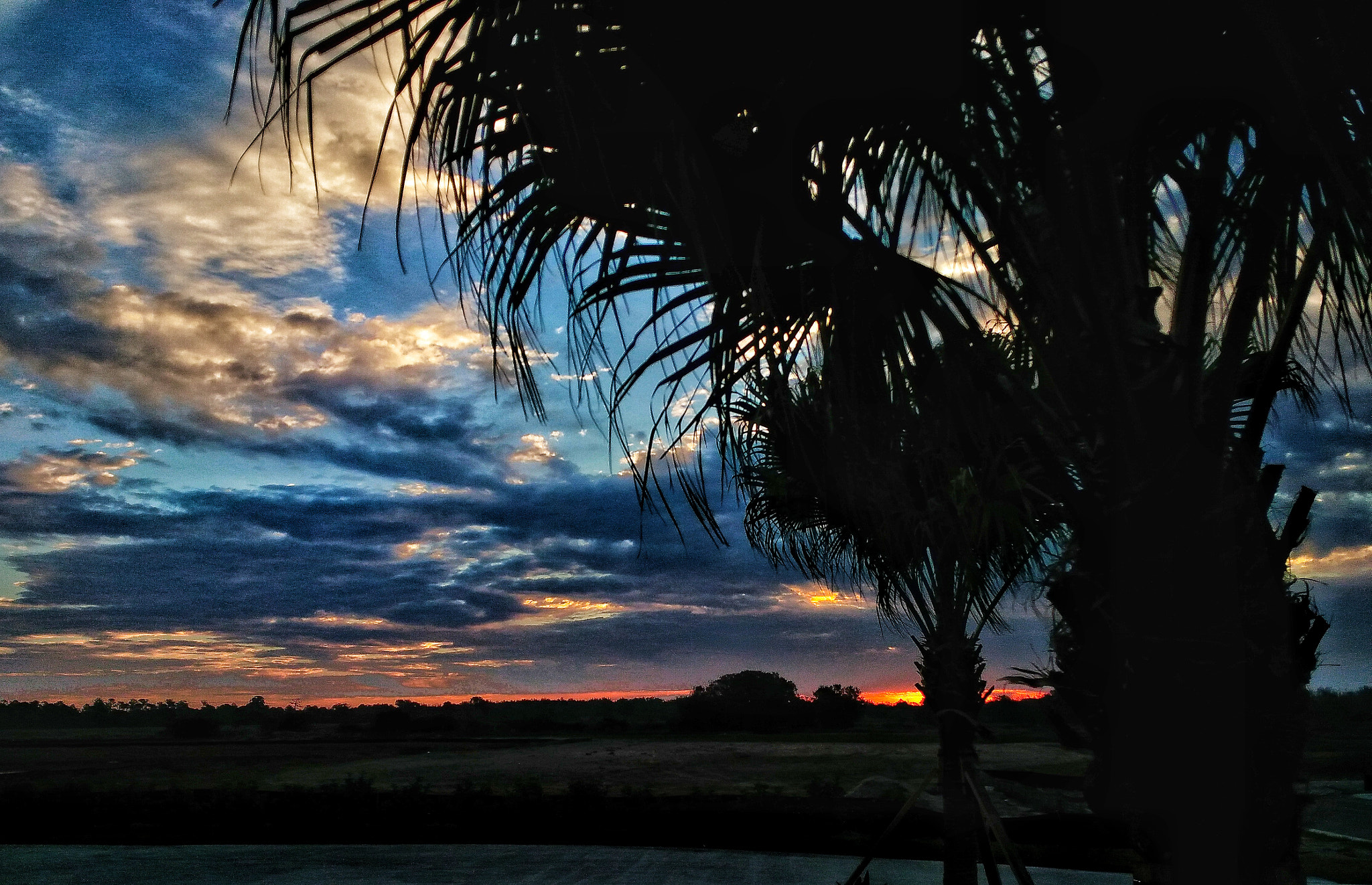 ZTE B2017G sample photo. Sunrise in florida photography