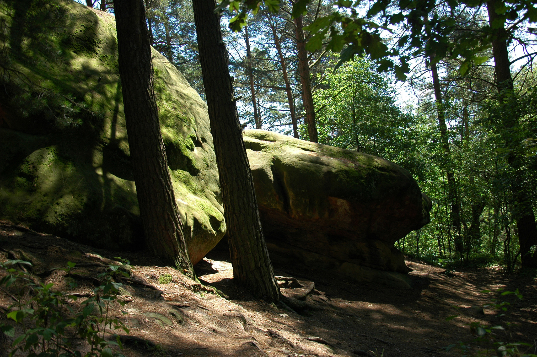 Nikon D70s sample photo