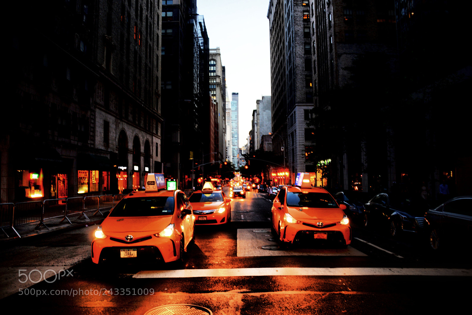 Nikon D600 sample photo. Yellow cabs on a photography