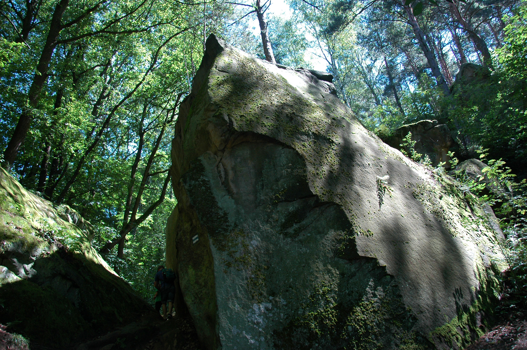 Nikon D70s sample photo