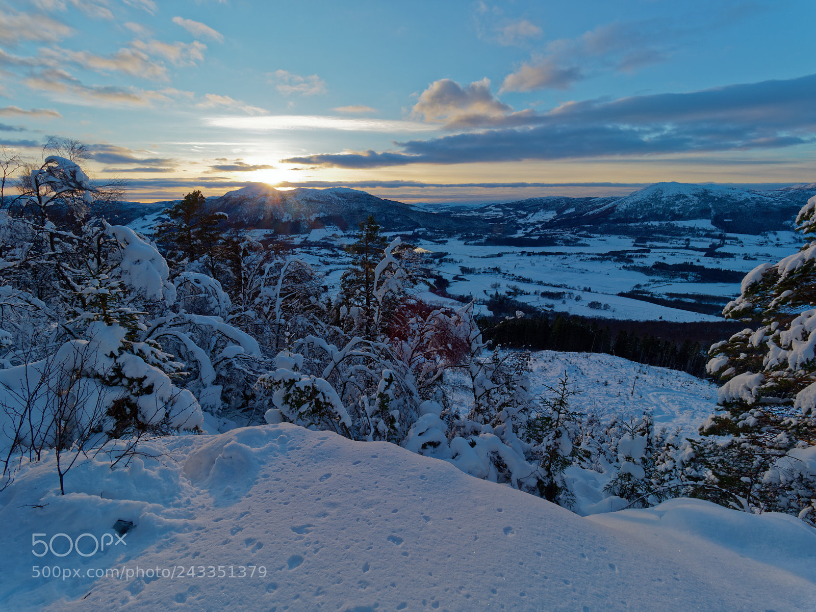 Olympus OM-D E-M1 Mark II sample photo. Winterland photography