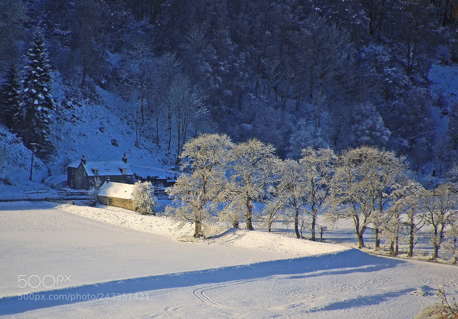 Pentax K200D sample photo. Winter in strathtay photography