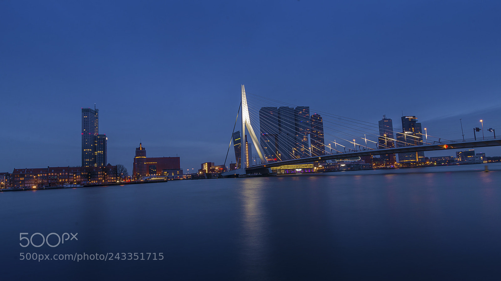 Nikon D7100 sample photo. Erasmus bridge photography