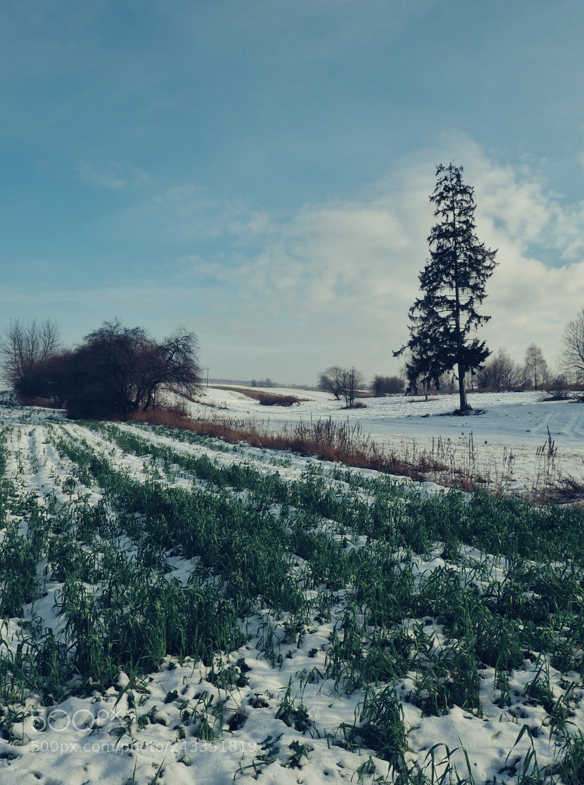 Olympus OM-D E-M10 sample photo. Winter photography