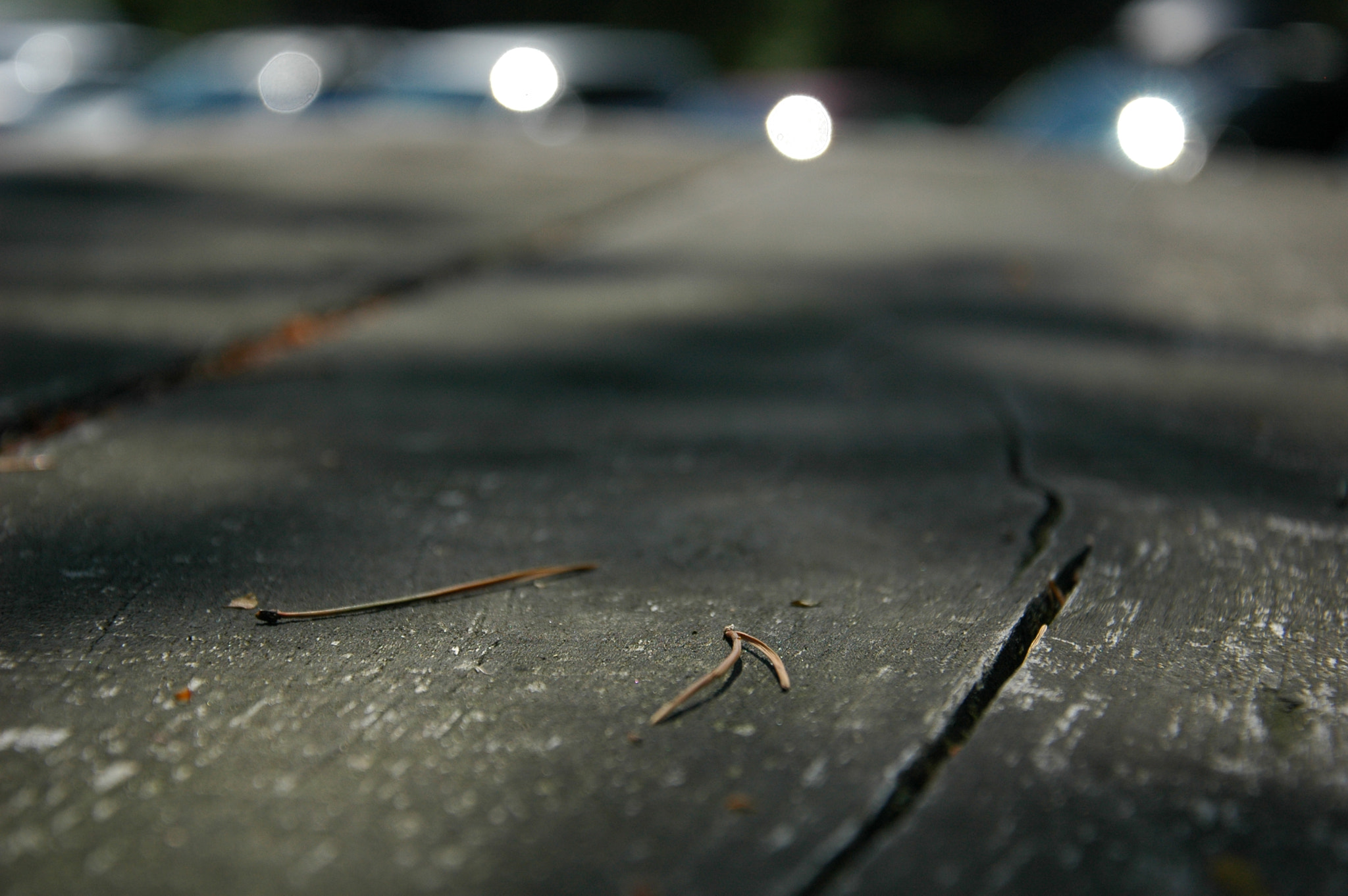 Nikon D70s sample photo