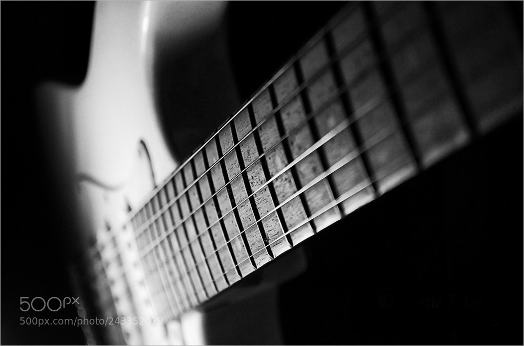 Nikon D200 sample photo. Electric strings in mono photography