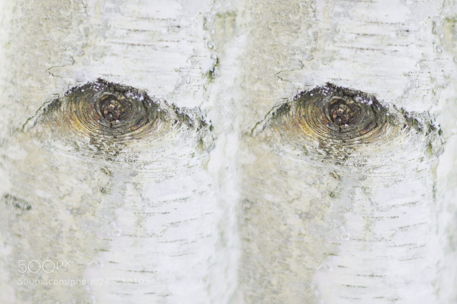 Nikon D610 sample photo. Seeing you photography