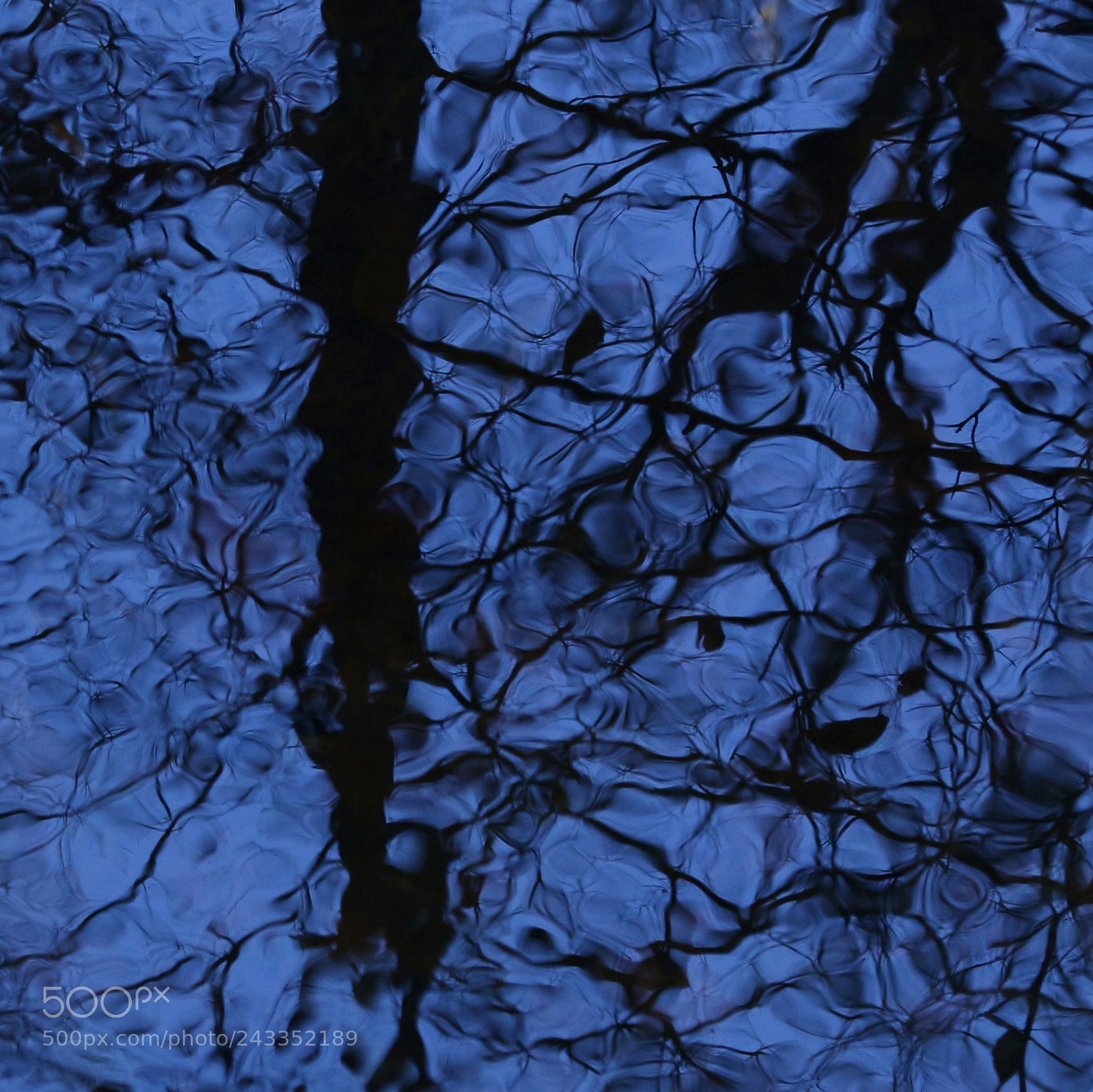 Canon EOS M sample photo. Blue12 photography