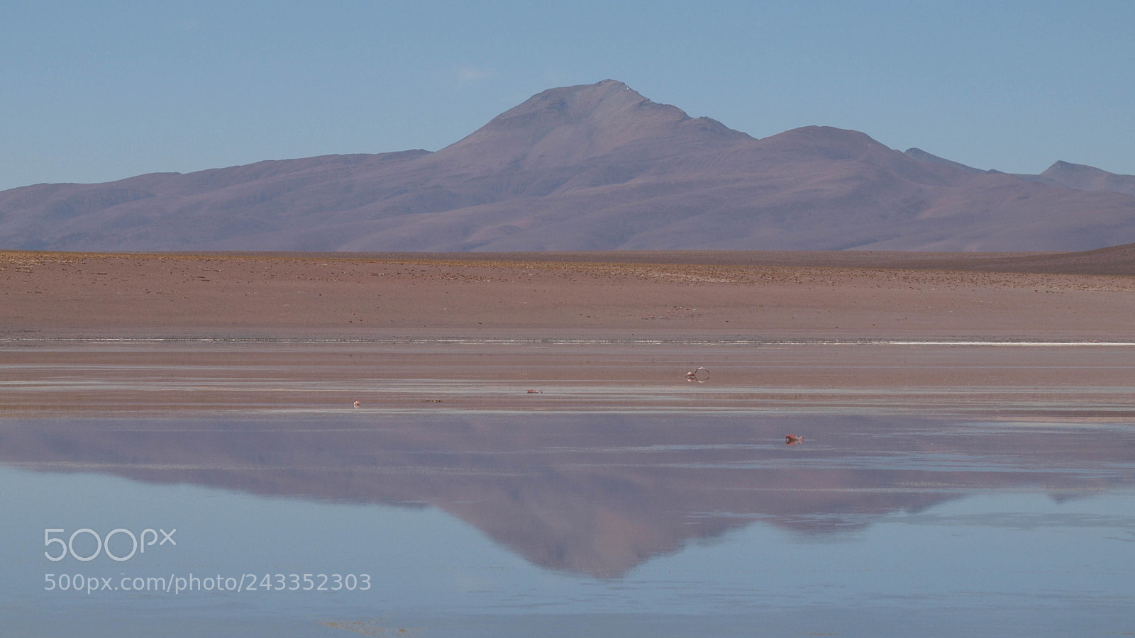 Olympus E-620 (EVOLT E-620) sample photo. Uyuni reflection photography