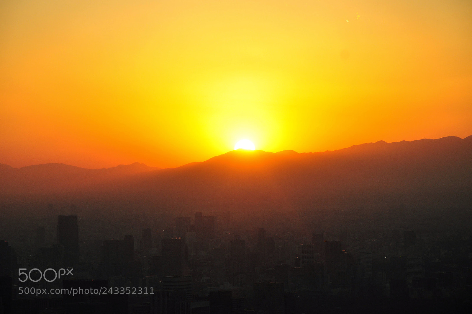 Nikon D90 sample photo. Untitled photography