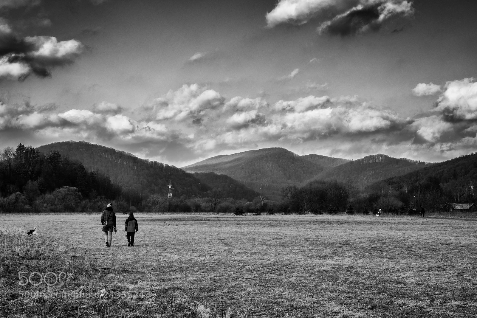 Nikon D7200 sample photo. Untitled photography