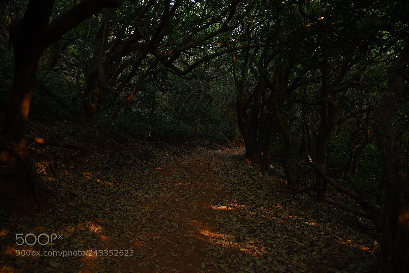 Nikon AF-S Nikkor 24-120mm F4G ED VR sample photo. Ram photography