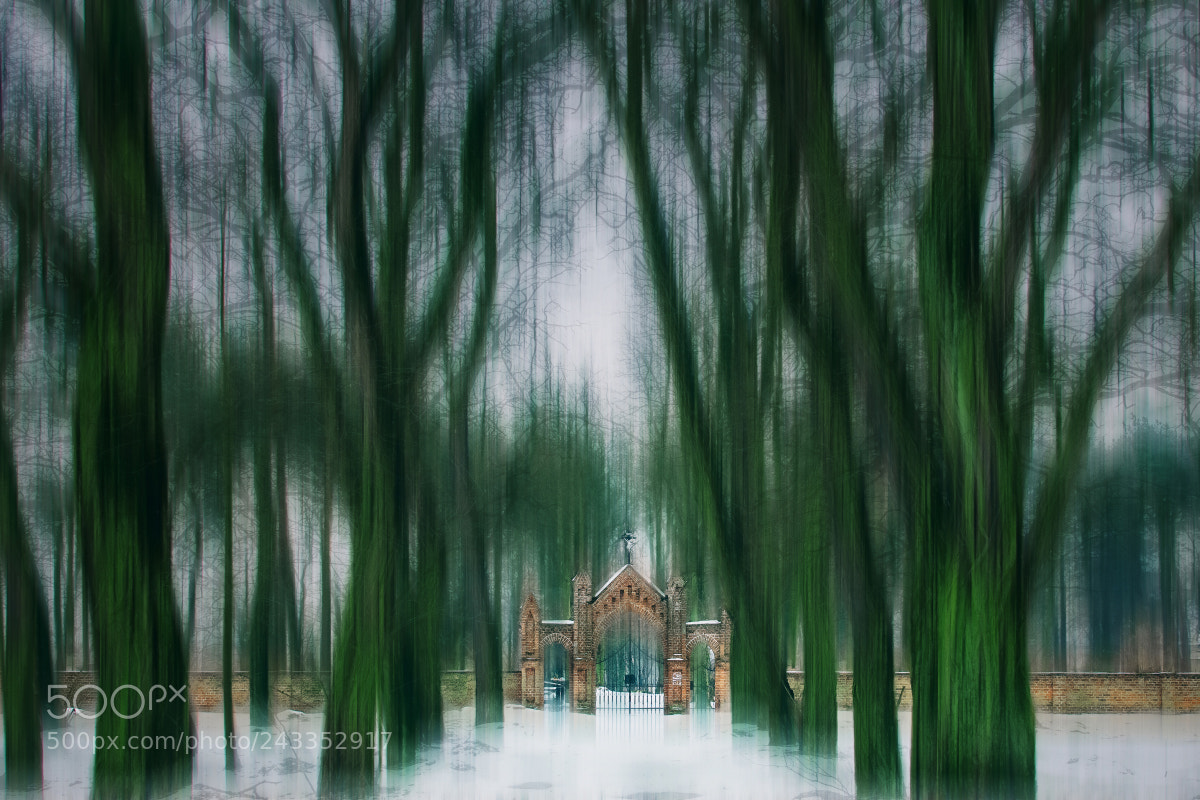 Nikon D500 sample photo. Gate to eternity photography