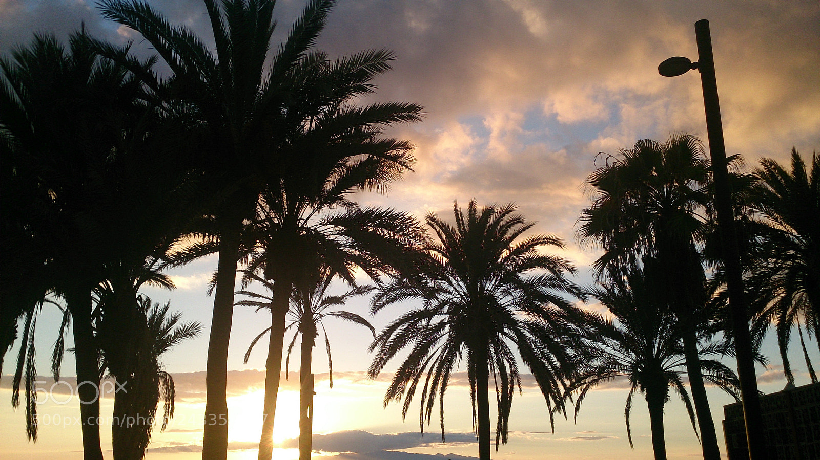 Sony Xperia Z sample photo. Dsc photography